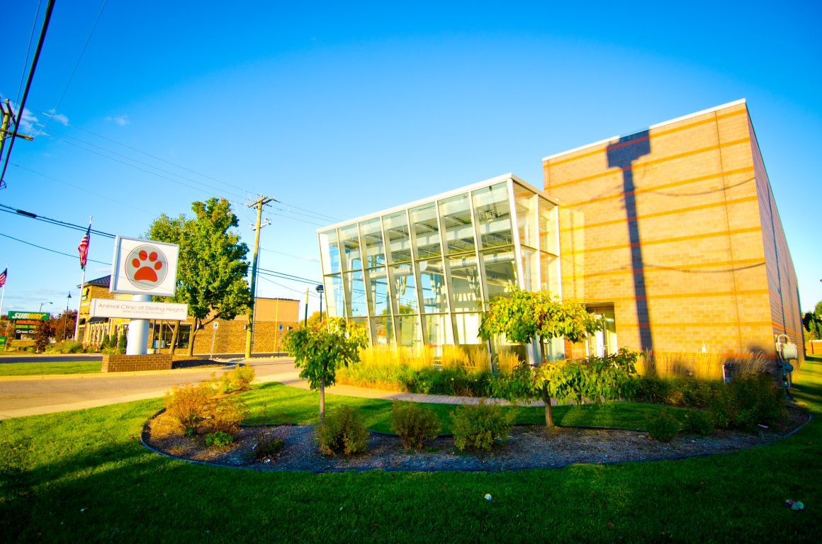 Animal Clinic Of Sterling Heights — photo