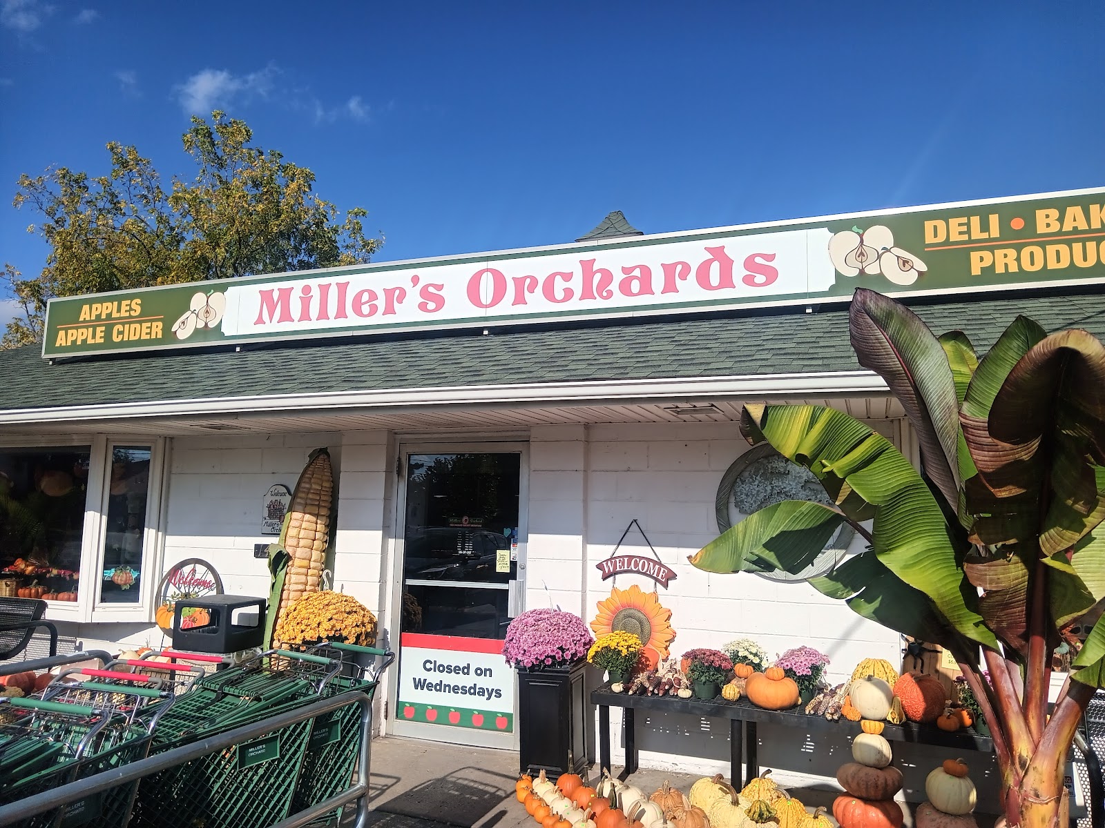 Miller's Orchard in Sterling Heights