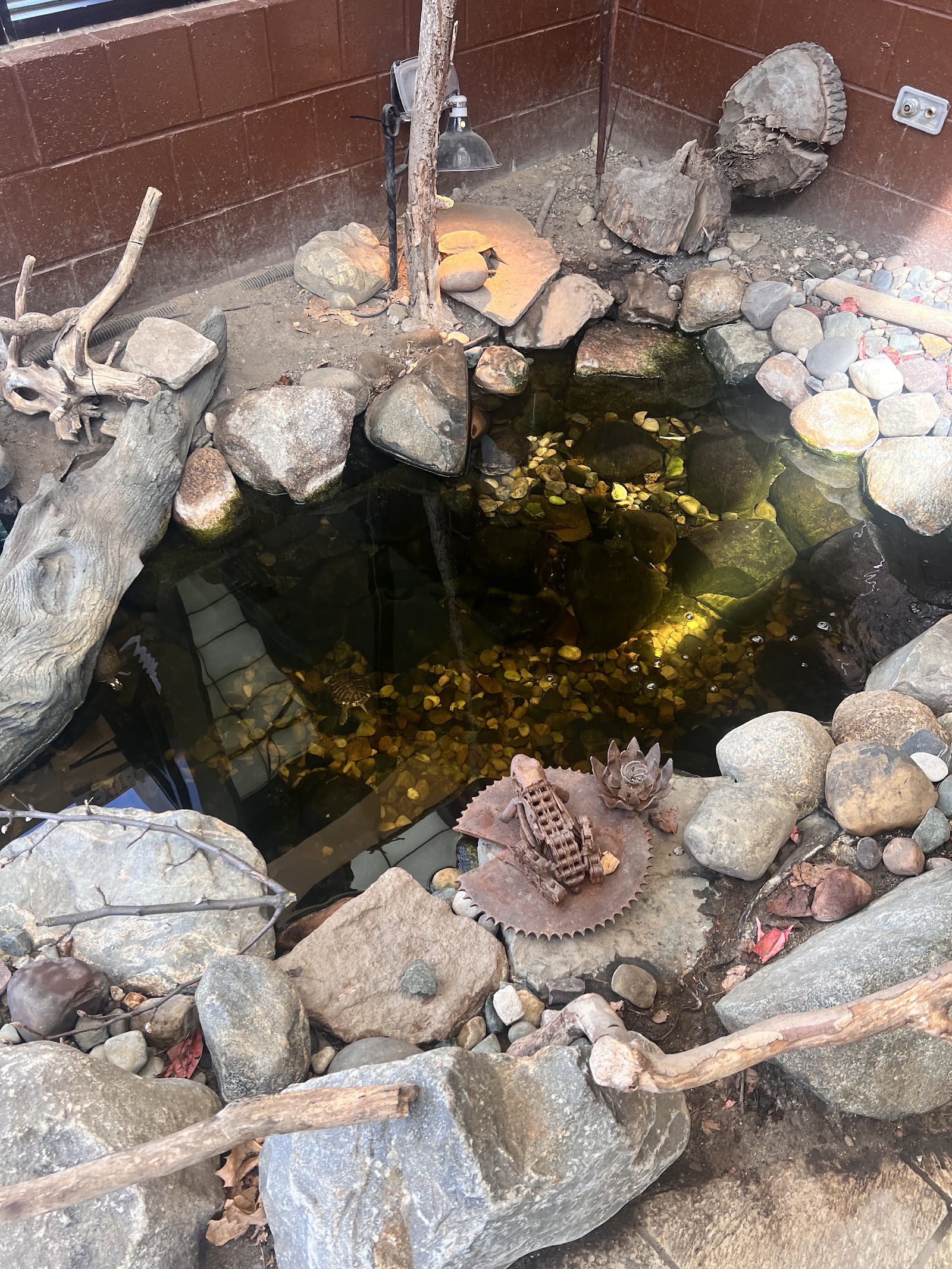 Sterling Heights Nature Center — photo